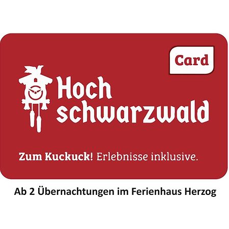 Ferienhaus Haus Herzog تيتيسي نيوستادت المظهر الخارجي الصورة